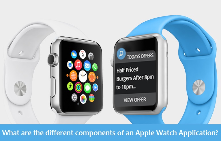 Apple Watch Application Process